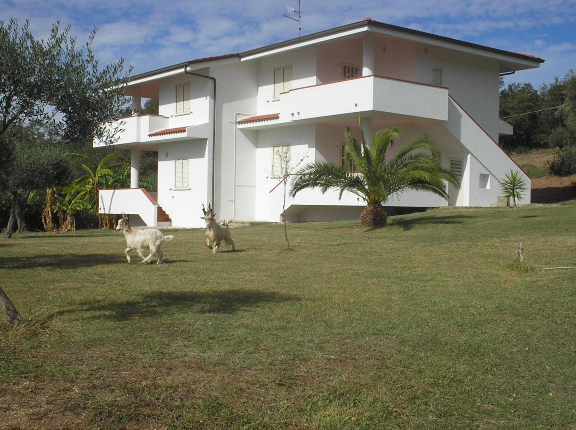 Agriturismo Seaview Capo Vaticano Bagian luar foto